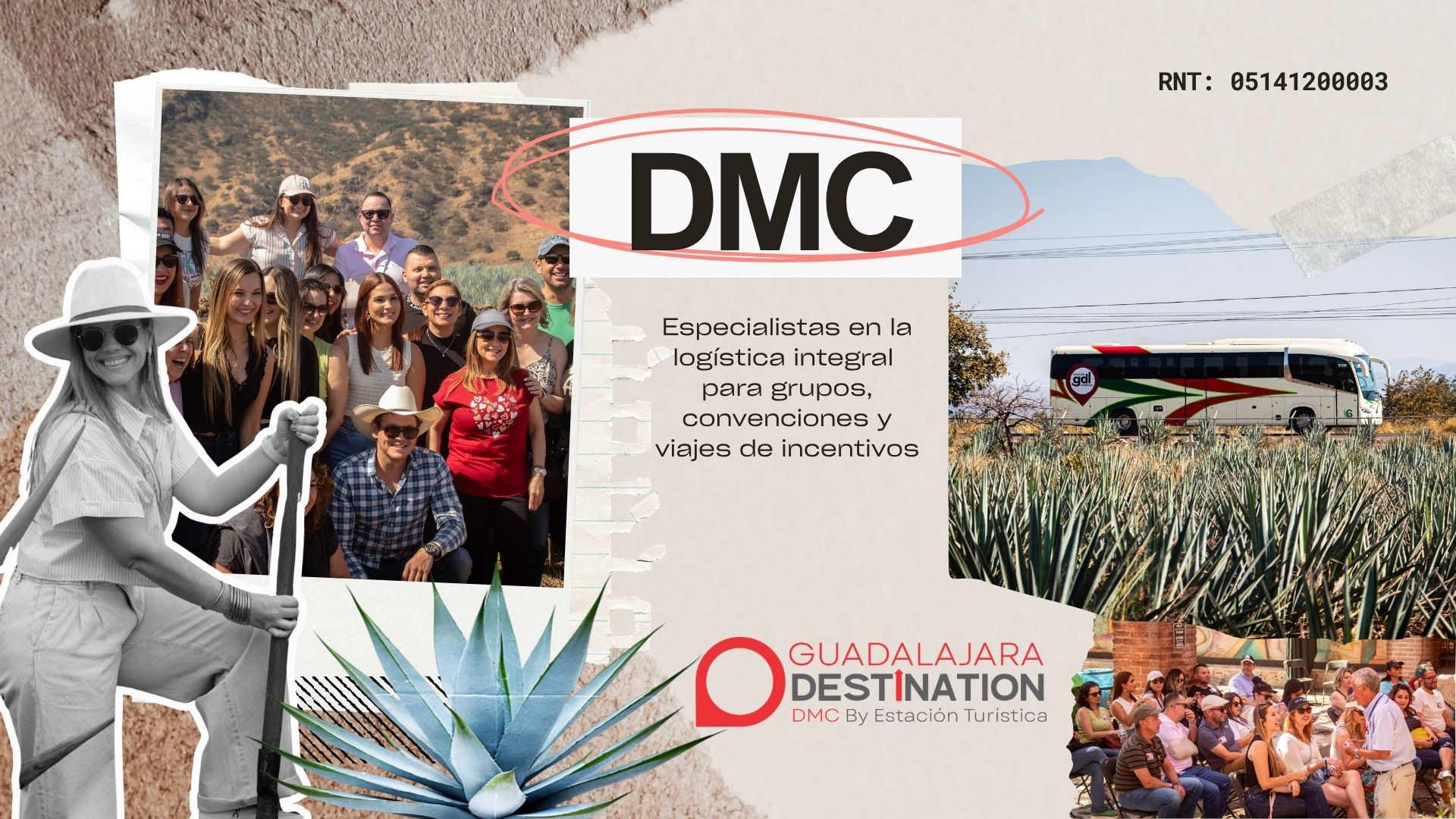 dmc (2)